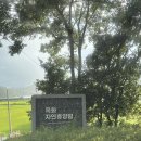 옥화자연휴양림 | 옥화자연휴양림- 29번 데크 후기