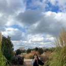 지적(동백2차)경로당 | 낭만 찾으러 간 제주 (feat. 혼자여행)