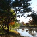 소풍정원1 | [캠핑] 경기도 캠핑장 추천/ 서울근교 캠핑장 / 평택 소풍정원캠핑장 방문 후기