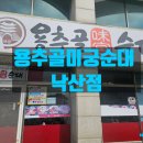 얼큰한 국물이 일품! 용추골미궁순대 낙산점 솔직 방문 후기