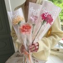 디어마이플레르 이미지