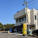 대정중학교 | 제주원데이투어/제주일일투어 /제주버스투어 후기