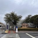 수환경 | 24년 상반기 한국원자력연구원 원자력 안전 연구-원전재료 열화평가 교육 후기.
