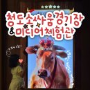 소싸움 | 경북 청도 가볼만한곳 소싸움경기장 미디어체험관