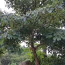 진원농장 이미지