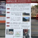 더 세리 호스텔 | 교토 도보 산책 코스 (한적한 스팟), 시라카와강 부터 신뇨도 까지