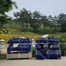 광주 근교 야외수영장 상하농원 [고창 파머스빌리지 수영장/ 사전개장 다녀온 후기]