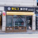 핫도그애견샵 이미지