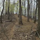 운주산 등산로 이미지