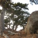 선창 농장 이미지