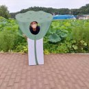 소금강솔내마을 이미지