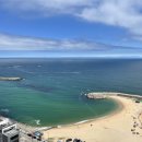 비에이치씨(BHC)속초청초점 이미지