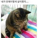 더블트리바이힐튼서울판교레지던스 | [판교] 더블트리 바이 힐튼서울 판교 레지던스