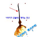 어른거리는 불빛 + 투명이미지 좌우흔들기 | 스위시 강좌2 이미지