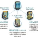 유명한카클리닉 이미지
