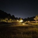 세종동_전월산 무궁화 테마공원 이미지