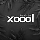 슈올(xoool) 네이버블로그