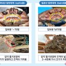대게가 이미지