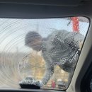 오토앤쎌프세차장 | 사당·서울대입구 셀프세차장 추천! 큰 차 세차 오토앤 실제 이용 후기