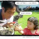 수명민박 이미지