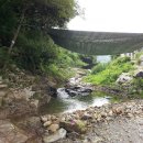 충주시 앙성면의 살맛 나는 전원생활. 이미지