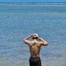 개의온도 이미지