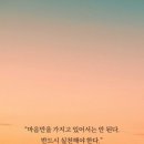 선택 Daum카페