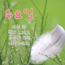 날이갈수록 가을바람의온도가 낮아지는게 피부로 느켜지시죠~Ost의 노래제목이 툭 이라는데 들어보죠~~드라마제목 엿같은세상의 주제가 랍니다 이미지