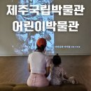 나빌레라문화센터전시실 | [제주 국립박물관 어린이박물관] 나빌레라 특별전 &amp; 영상 상영 일정, 아이와 다녀온 후기