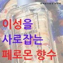 레드컨테이너 - 용산구 이태원로 165-1 | 이성을 사로잡는 페로몬 향수 레드컨테이너 향수 사용 후기