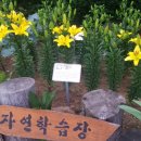 금강정진회 여행사