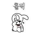 강서YD동물의료센터 이미지