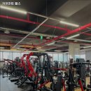 자이언트헬스 이미지