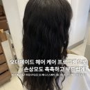 더민 이미지
