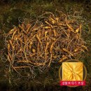 삼가-25 이미지