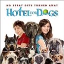 B/F Dog Talk Talk 이미지