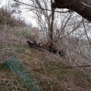 쟁골 농장 이미지