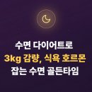 골든타임시계 | 수면 다이어트로 3kg 감량, 식욕 호르몬 잡는 수면 골든타임