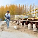 왕림축산 이미지