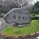 이천시립월전미술관 | 고양이에 관한 전시를 볼 수 있는 이천시립월전미술관