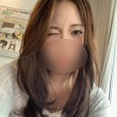 JOO 강아지미용실 | 분당 정자동 미용실 리커버 분당정자점 레이어드컷 후기