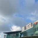 슬기로운동물병원 | 슬기로운 연대생활(8) (부제. 서울탐험기)