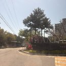 14개월 아기랑 다녀온 안면도 아일랜드 리솜 S30 숙박 후기 (수영장, 조식 후기)