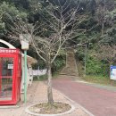 탄금공원 (탄금대로 방향) 이미지