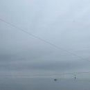 리베르타 이미지