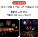도야 티스토리