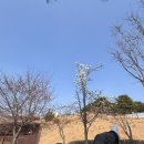 GS25 괘법공원점 | [공지] [망원 한강 공원 데이트] 술도란 망원피크닉 대여 &amp; 와인바틀샵_ ₊⊹❀ 피크닉 장소, 배달존, 주차...