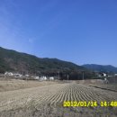 밤재농장 이미지