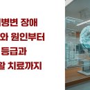 정신장애인의 자립생활능력 향상을 위한 일상 회복 프로그램 ‘슬기로운 자립생활’ | 뇌병변 장애 정의와 원인부터 등급과 재활 치료까지