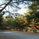 솔밭캠프장 이미지